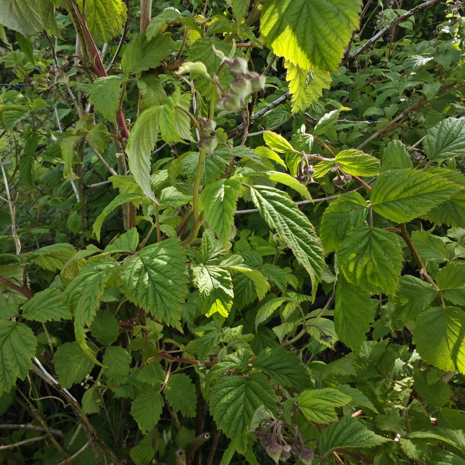 https://haven.relayted.de/f856b760f9802766c6855ee5248ebaf2d61d8fb2750c7dba77433cba99556aa9.jpg